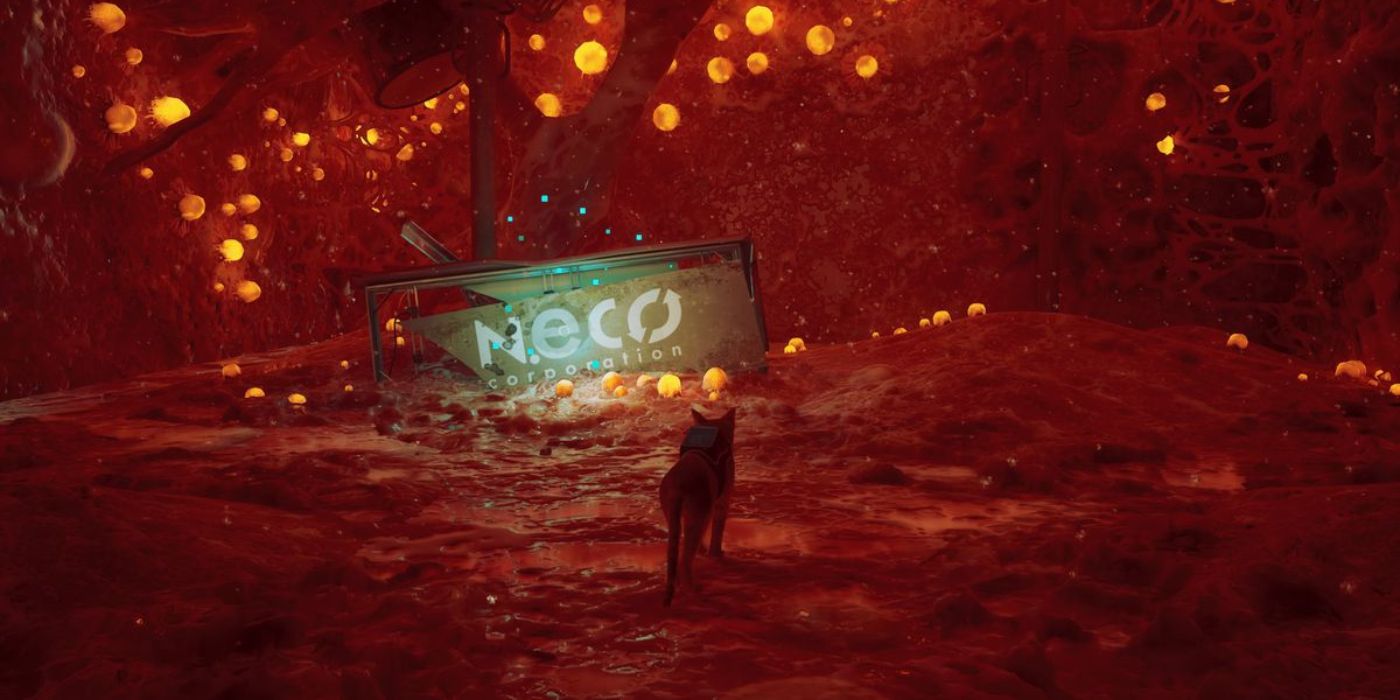 Cat looking at NECO Corp sign in Stray