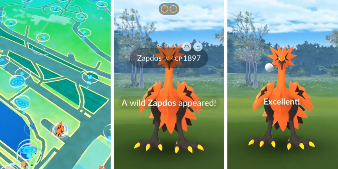 Como acertar o EXCELENTE no ZAPDOS de GALAR e maximizar as chances de  captura! Dicas Pokémon GO! 