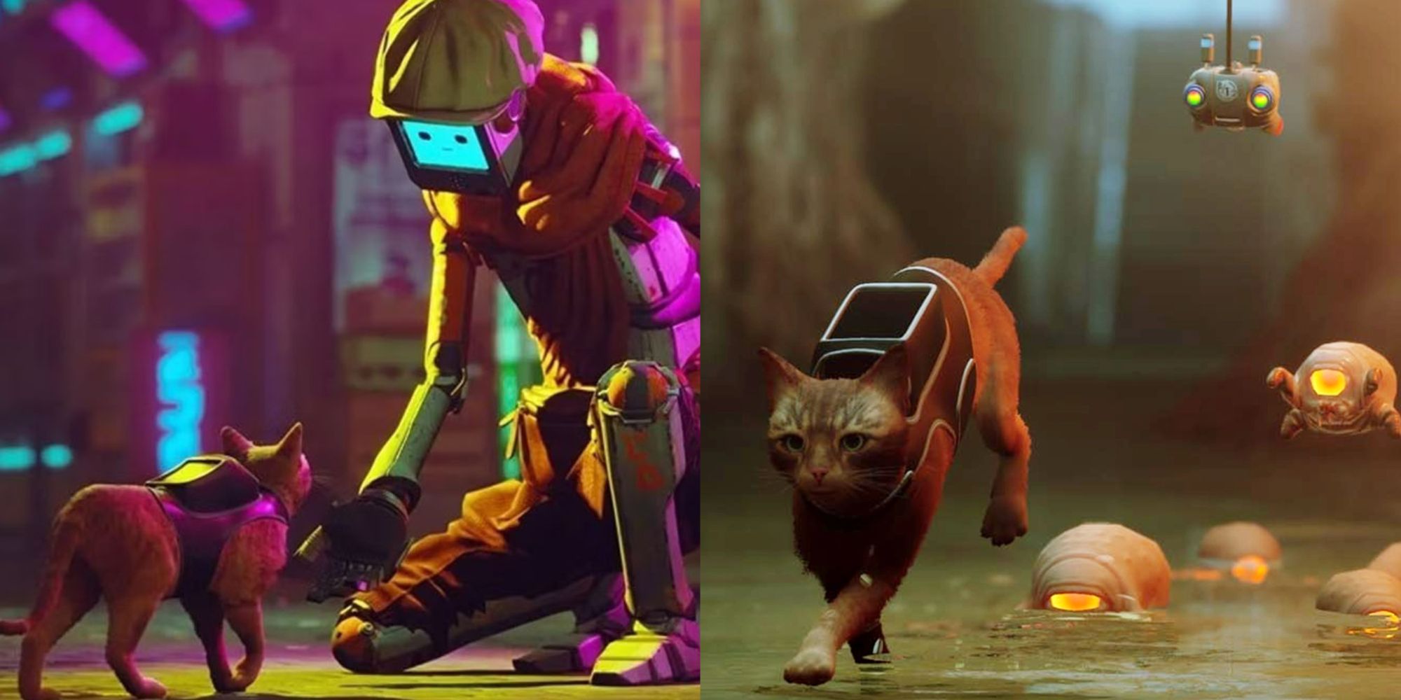 Stray is an upcoming PS5 game about a cat living among robots