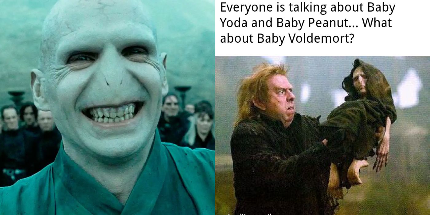 I am really bored so some Voldemort memes