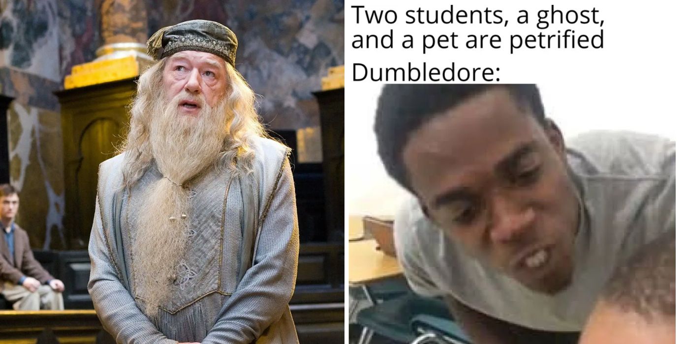 Harry Potter: 10 Memes That Perfectly Sum Up Voldemort As A Character