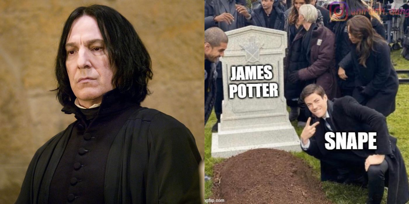Harry Potter: 10 Memes That Perfectly Sum Up Snape As A Character