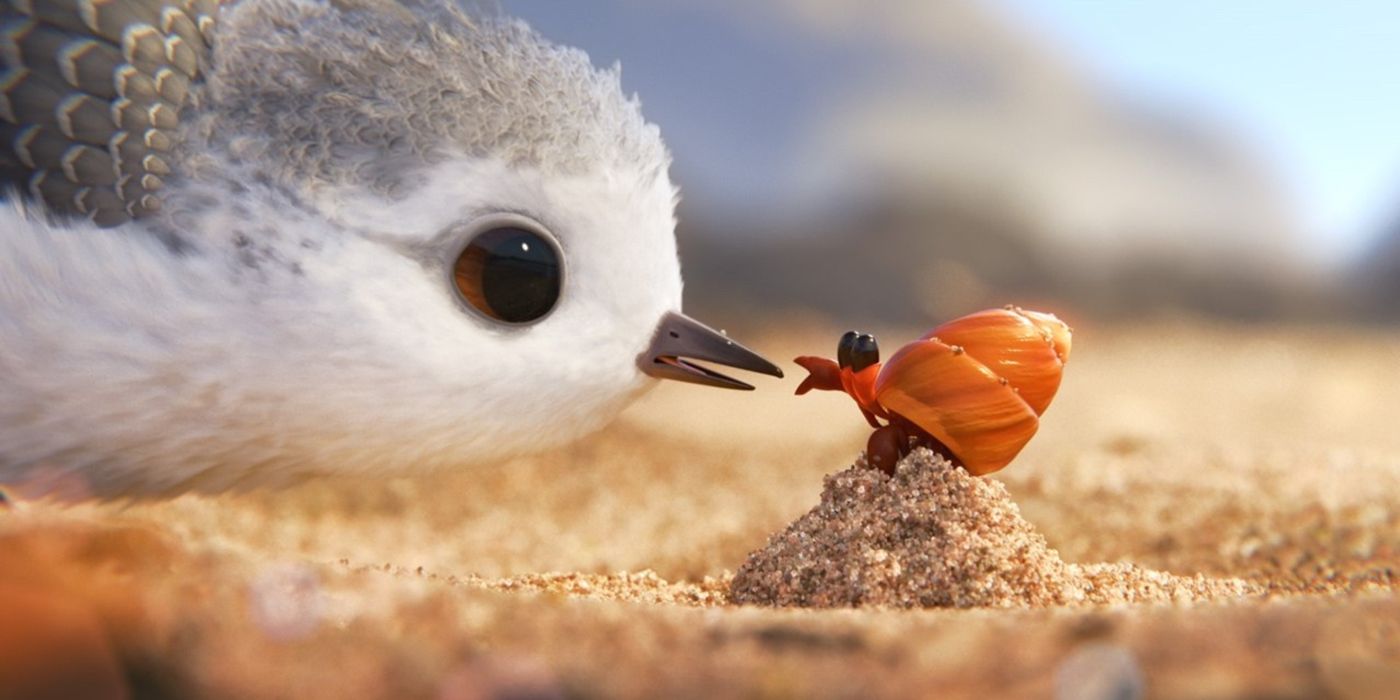 a bird comes across a snail on a sandy beach