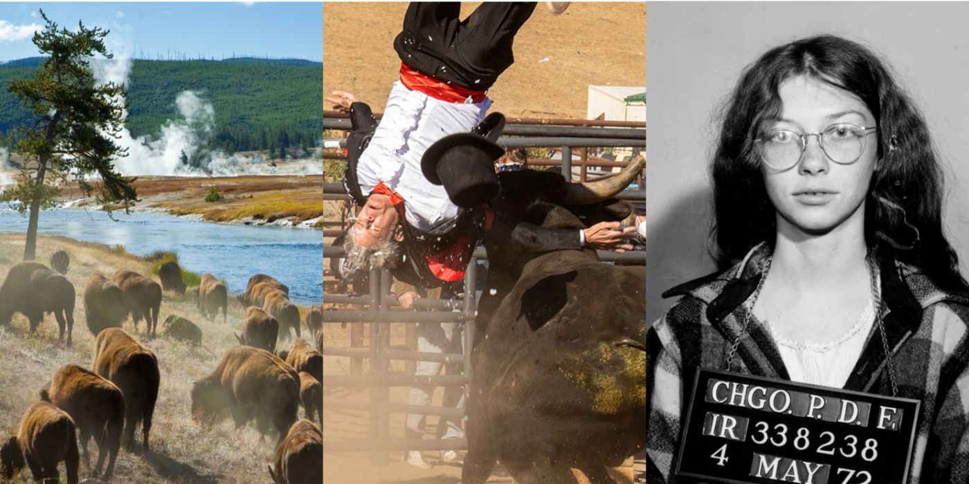 Featured Split Image of Our Great National Parks, Jackass Forever, And The Janes