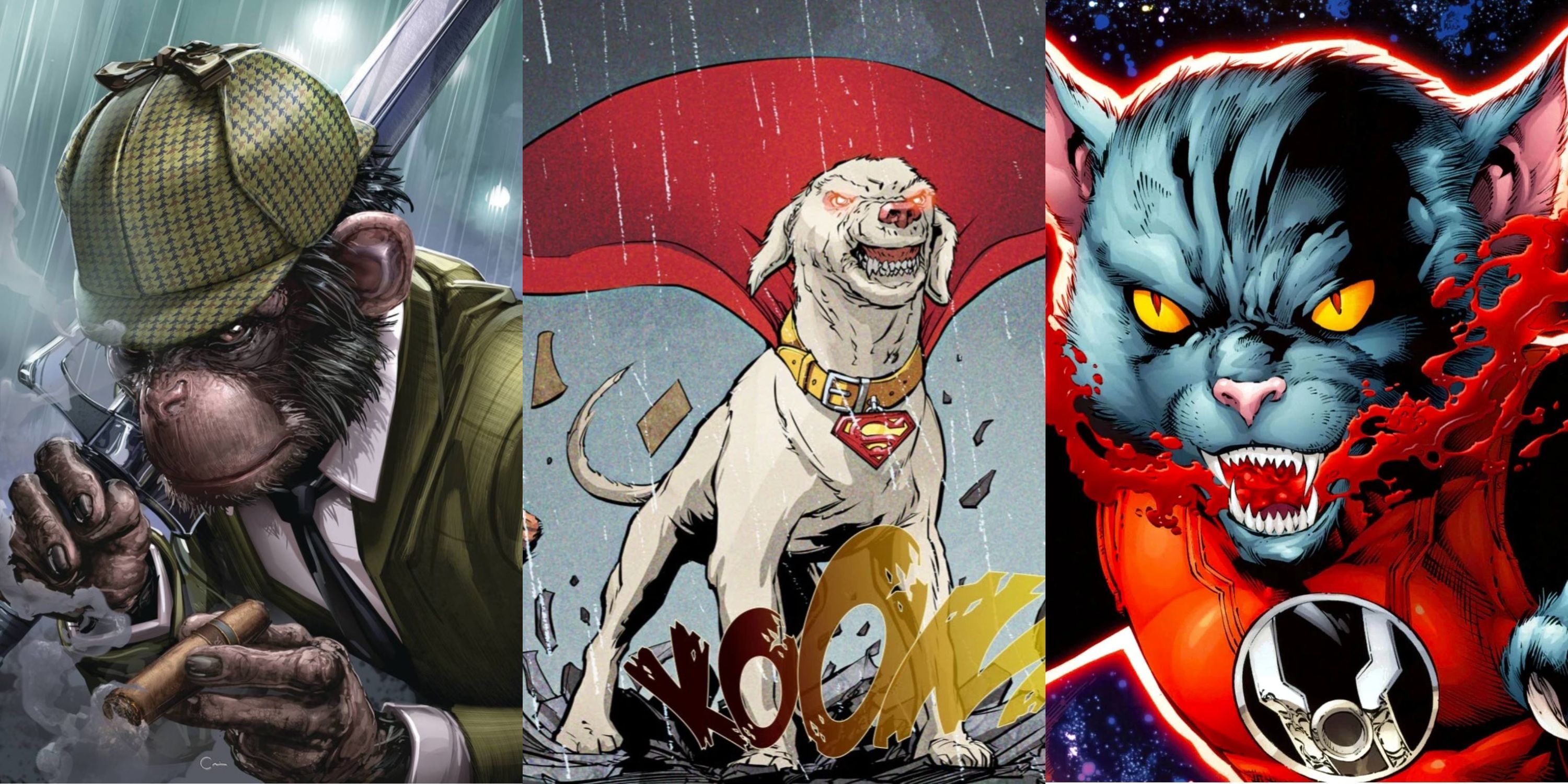 Collage of DCEU Animal Characters