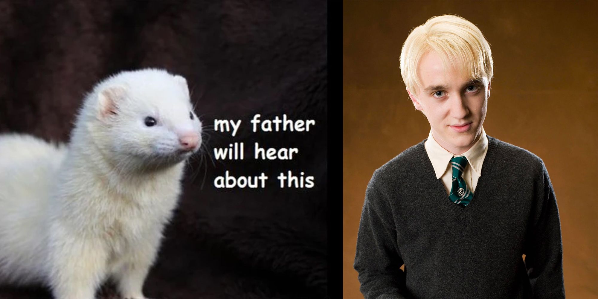 Draco ! : r/HarryPotterMemes