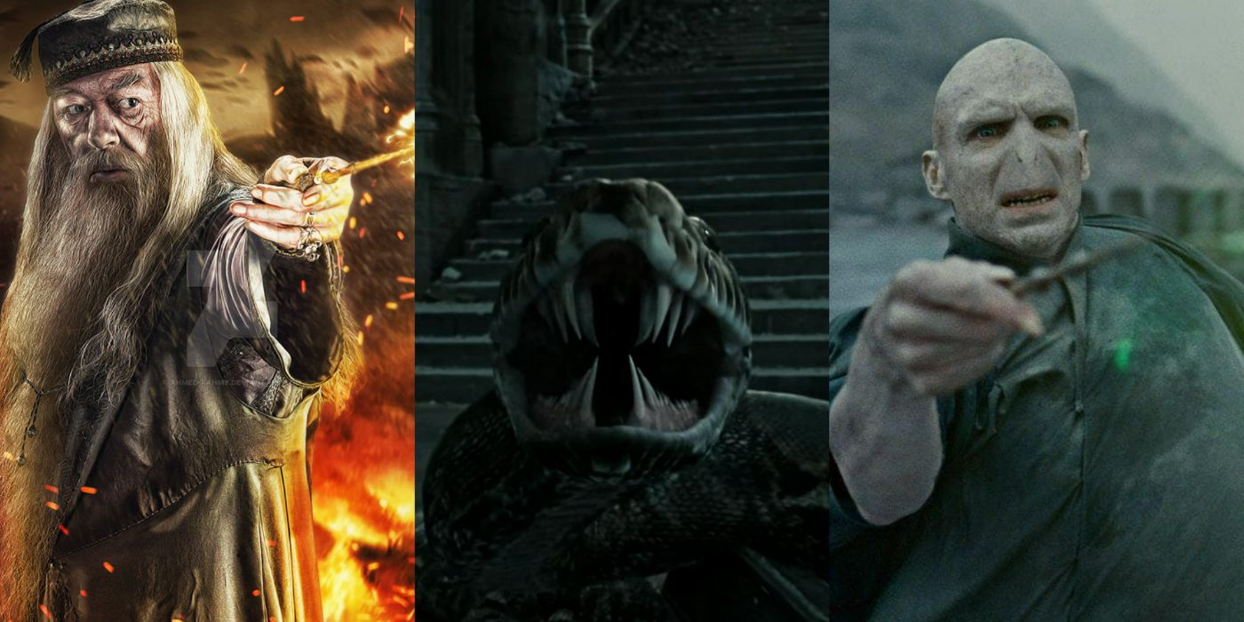 Split image of Dumbledore, Nagini, and Lord Voldemort in Harry Potter