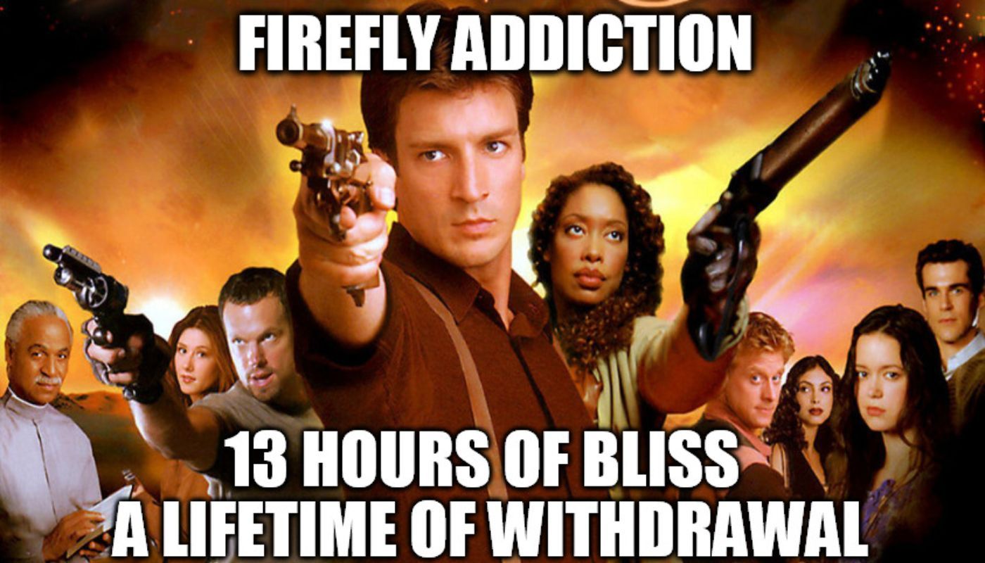 Firefly addiction: 13 hours of bliss, a lifetime of withdrawal