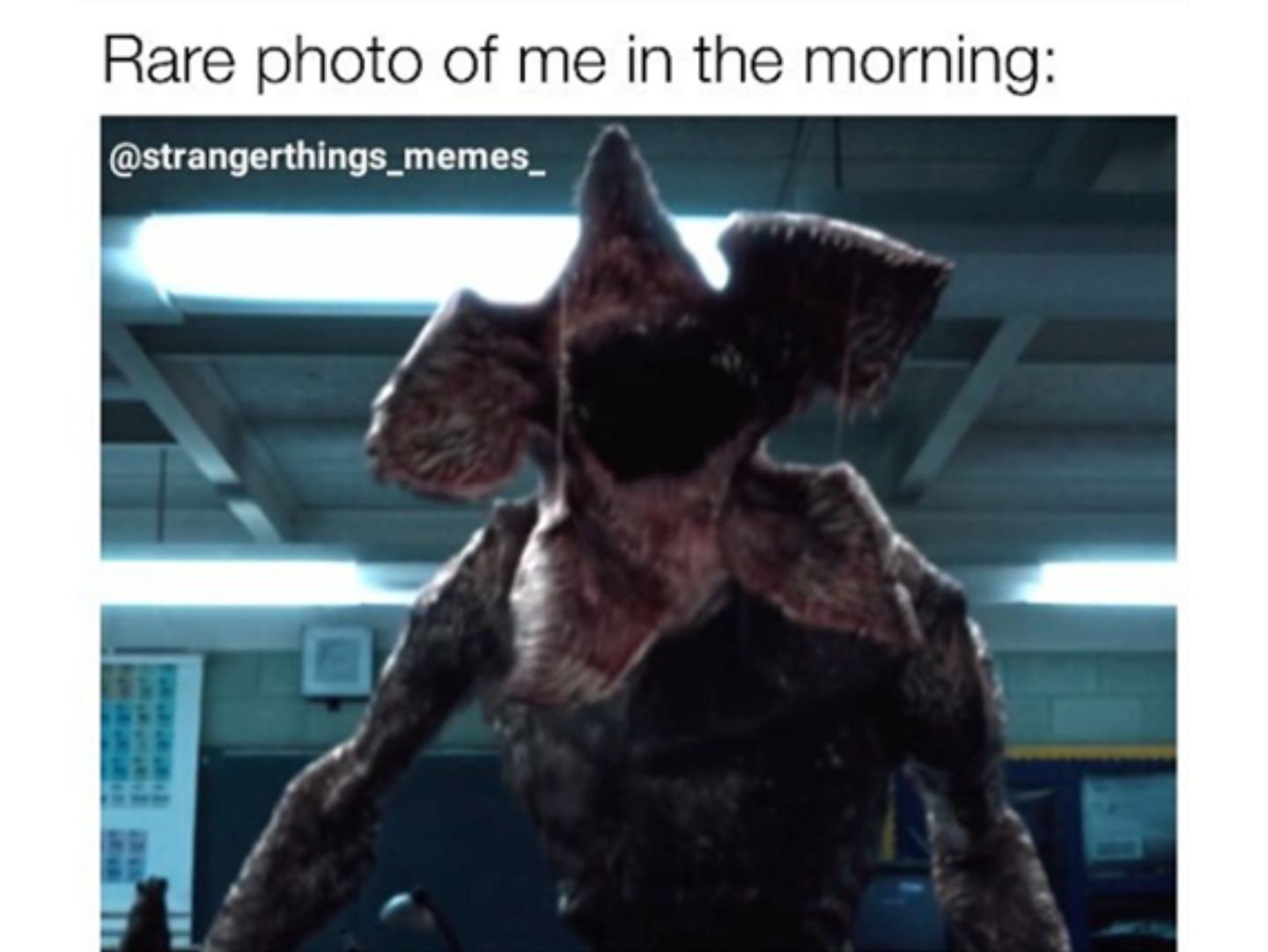 Stranger Things 6 Most Hilarious Demogorgon Memes