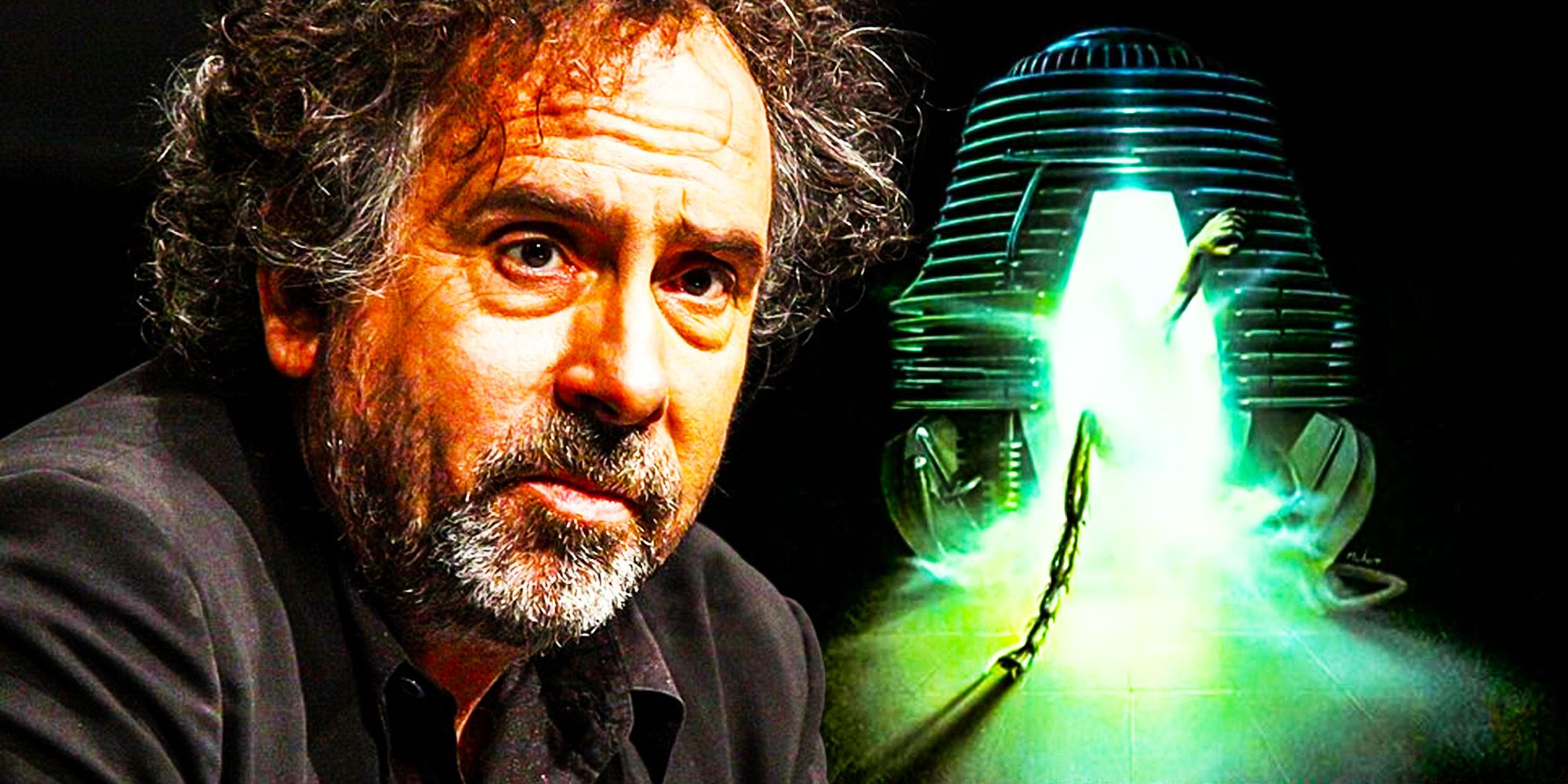 Good Tim Burton did not direct the fly