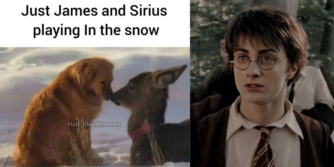 HARRY POTTER MEMES #10 