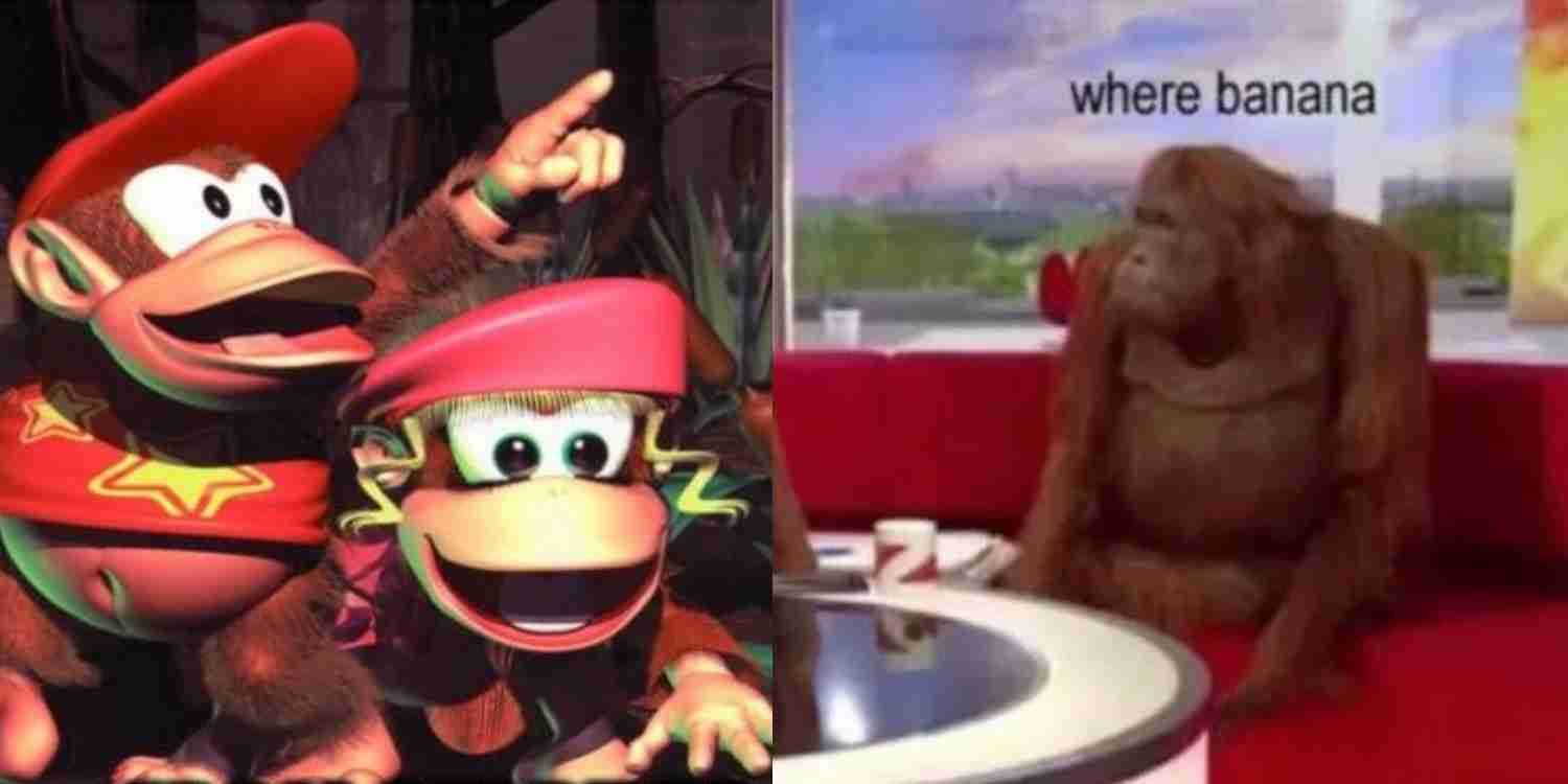 Diddy and Dixie Kong from Donkey Kong next to a gorilla meme.