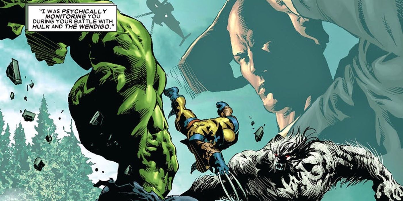 Hulk vs Wolverine comic