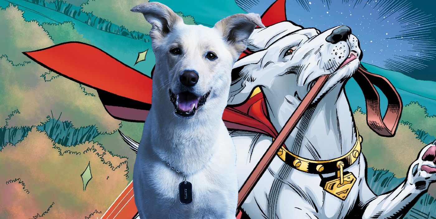 Titans Season 4 Finale Set Video Teases Krypto's Red Cape