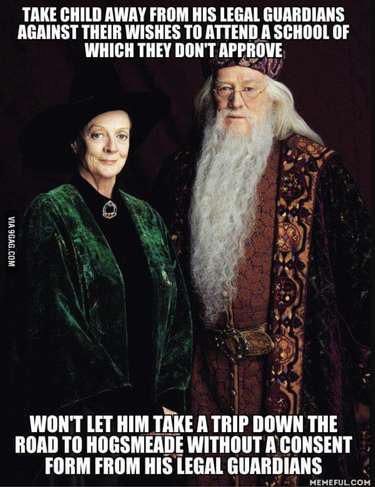A meme showing McGonagall and Dumbledore with the text &quot;Take child away from his leal guardians against their wishes to attend a school of which they don’t approve – won’t let him take a trip down the road to Hogsmeade without a consent form from his legal guardians&quot;