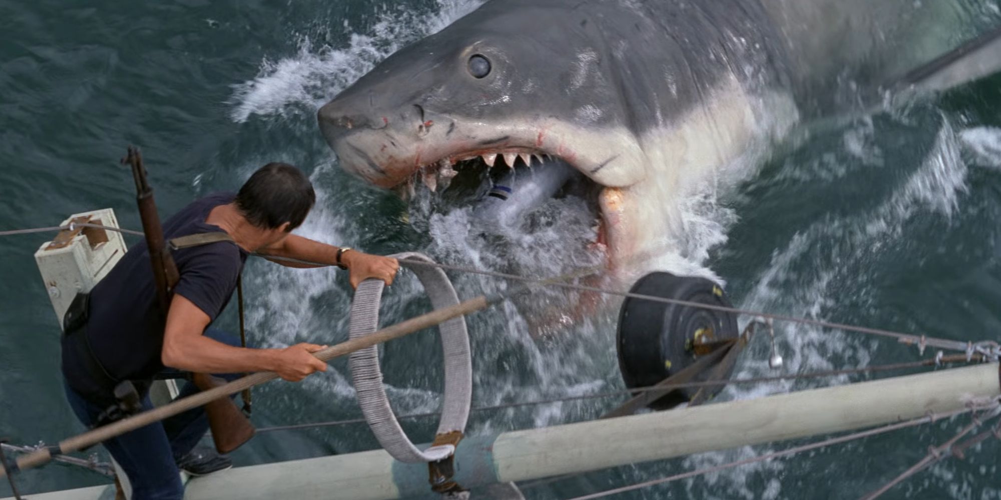 Martin Brody facing off with Bruce The Shark in Jaws