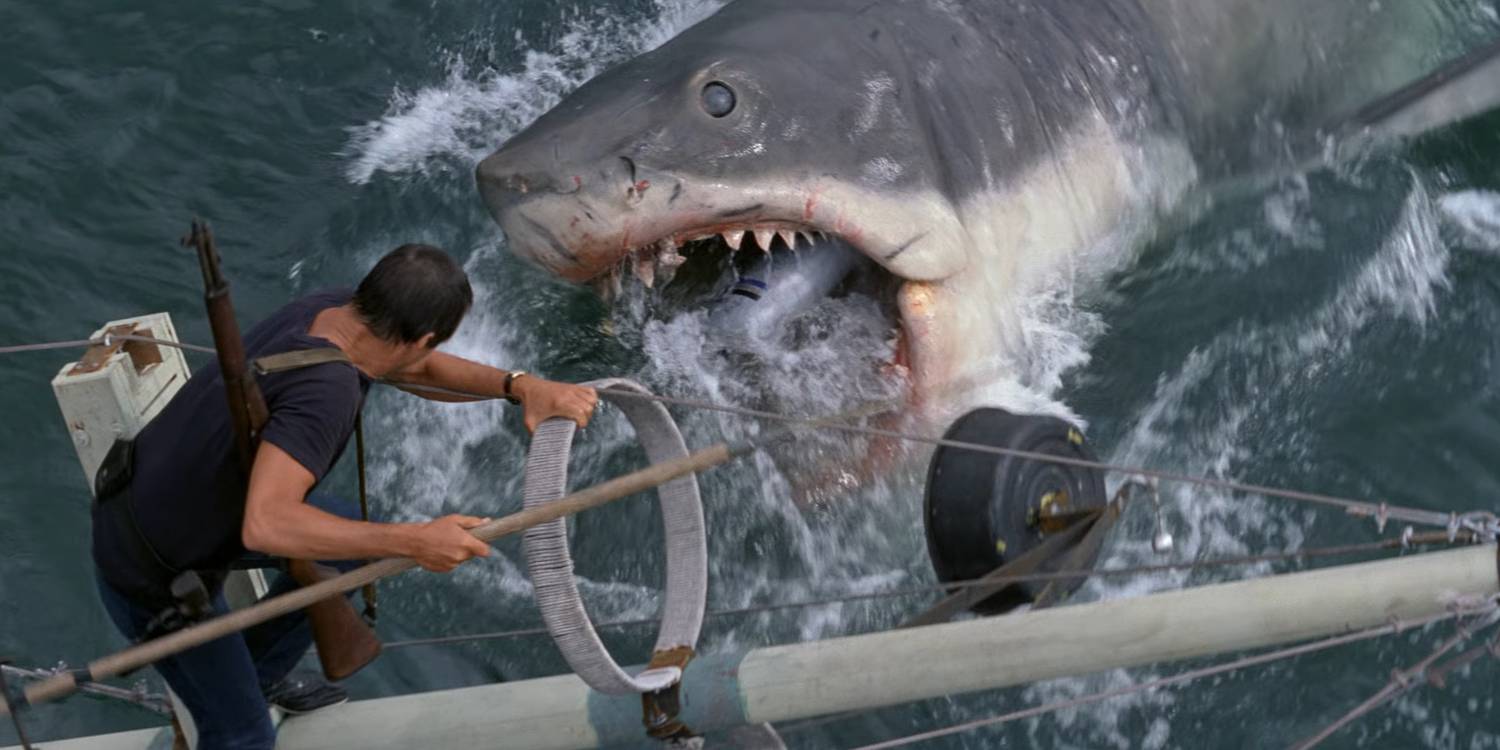 Martin-Brody-facing-off-with-Bruce-The-Shark-in-Jaws.jpg?q=50&fit=crop&w=1500&dpr=1.5