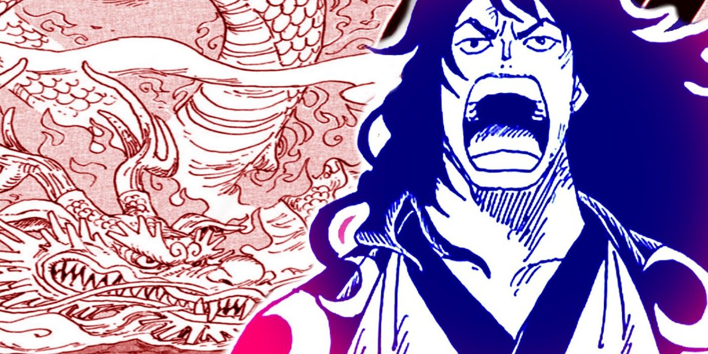 What would happen if Momonosuke ate Kaido Newly Respawned Devil