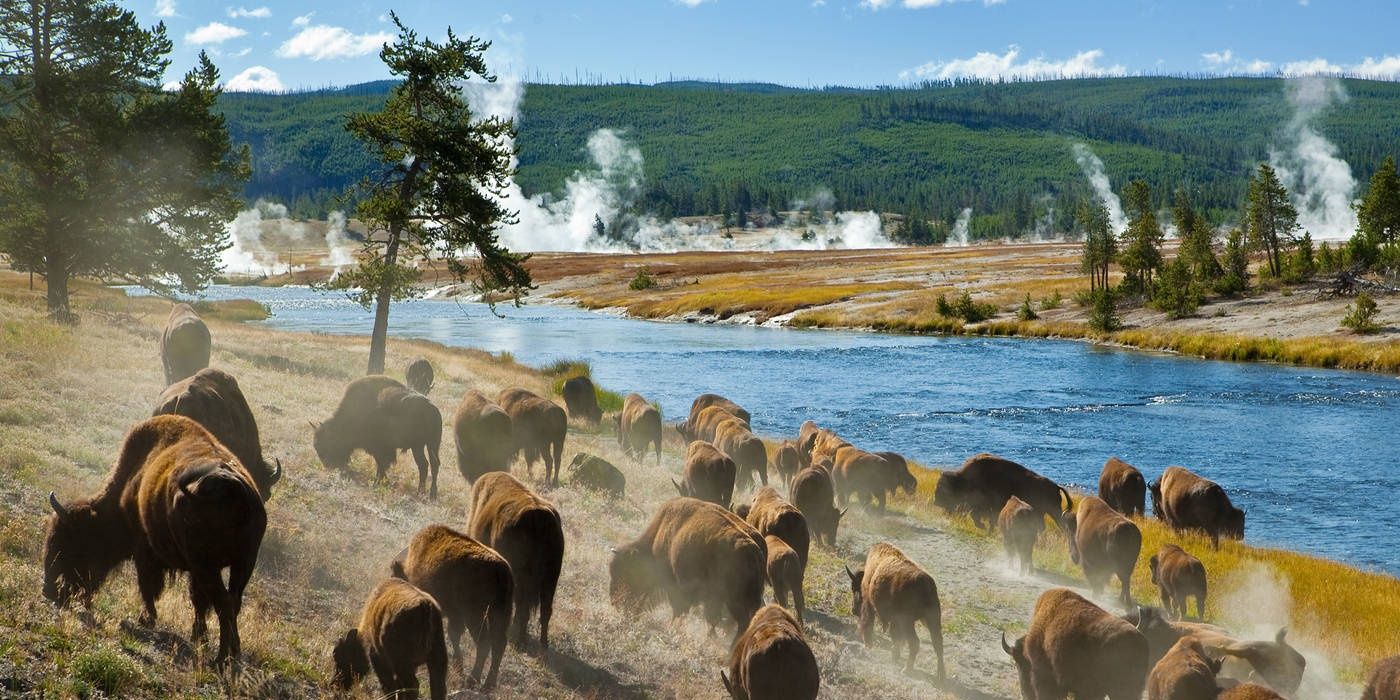 10 Best Documentaries Of 2022 (So Far), According To IMDb