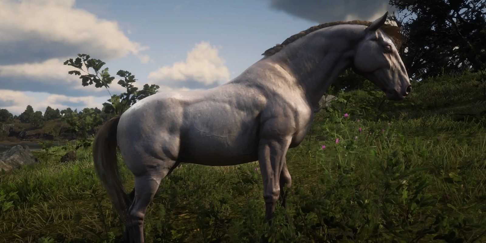 Best Horses You Can Get For Free In RDR2, Ranked