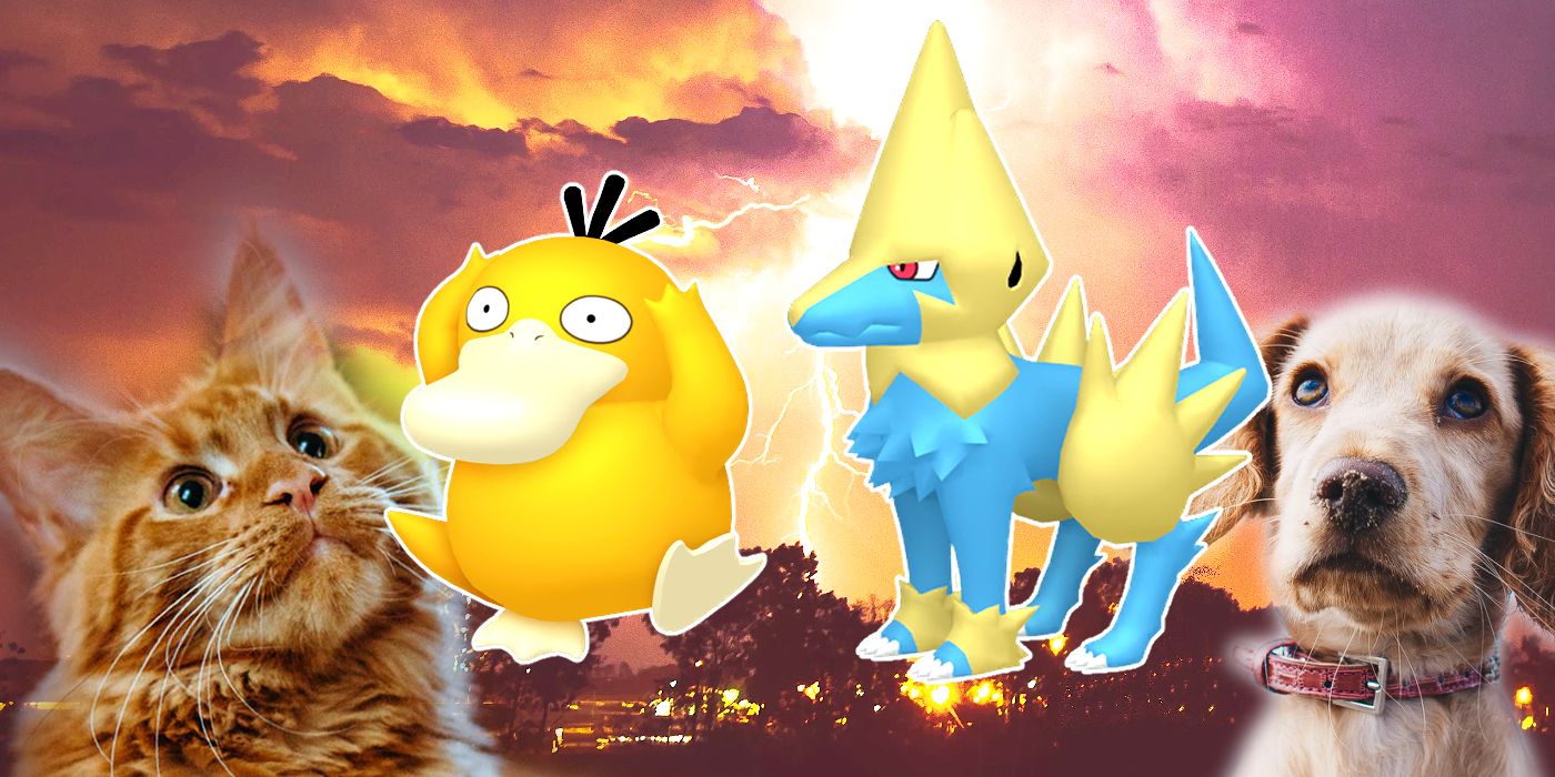 Pokemon Abilities Pets Should Have Lightning Rod Cloud Nine Psyduck Manectric Cat And Dog