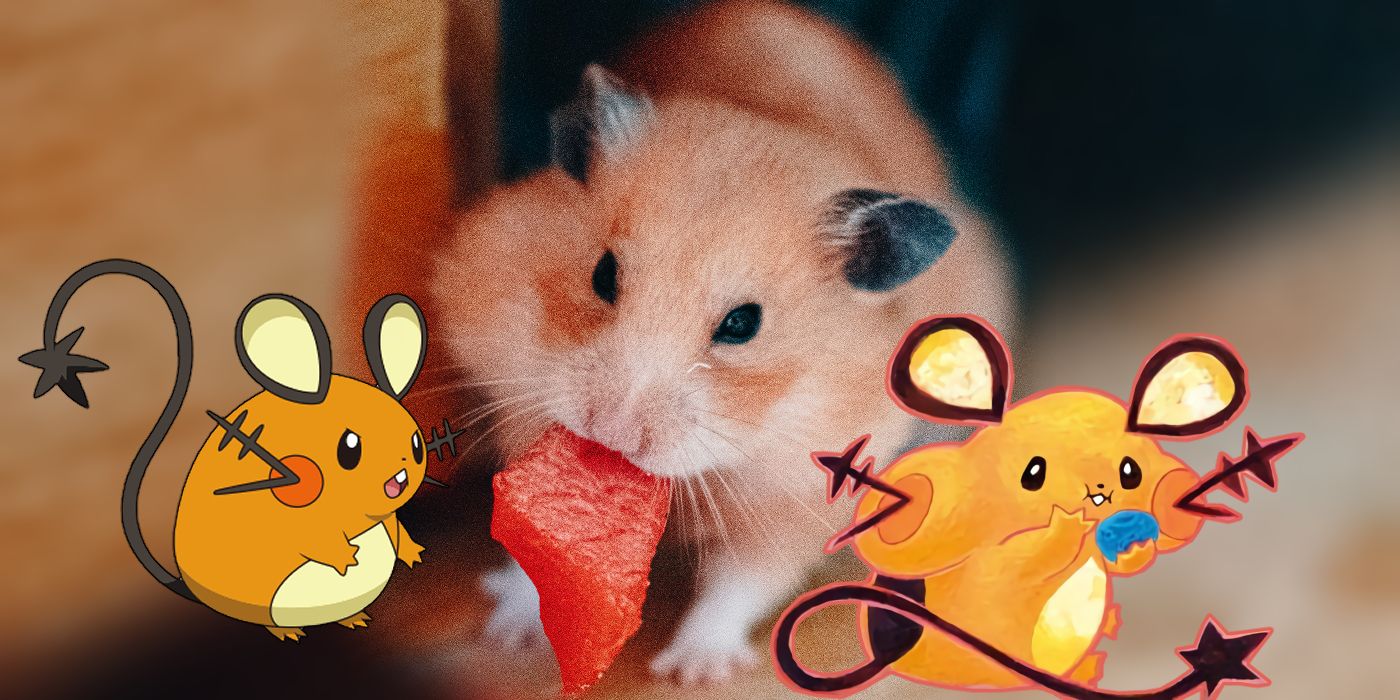 Pokemon Abilities Pets Should Have Pickup Hamster And Dedenne