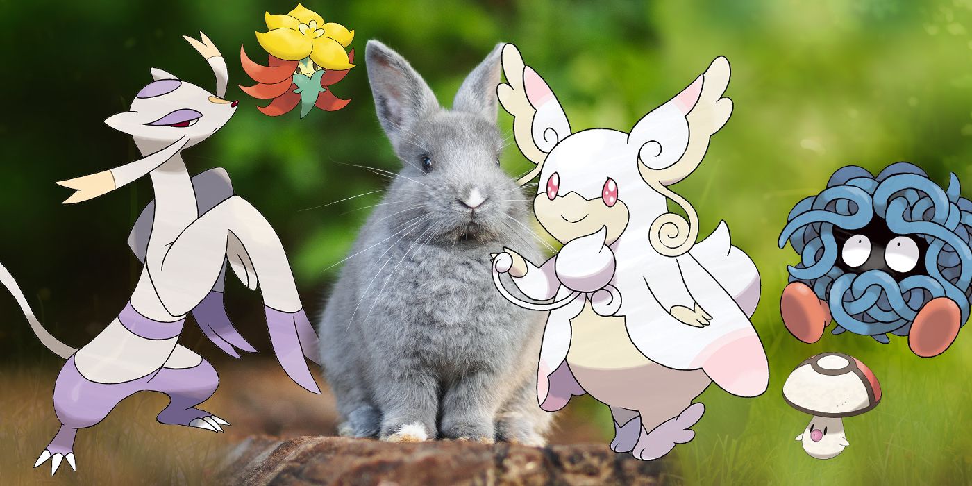 Pokemon Abilities Pets Should Have Regenerator Healer Mega Audino Gossifleur Mienshao Foongus Tangela Rabbit
