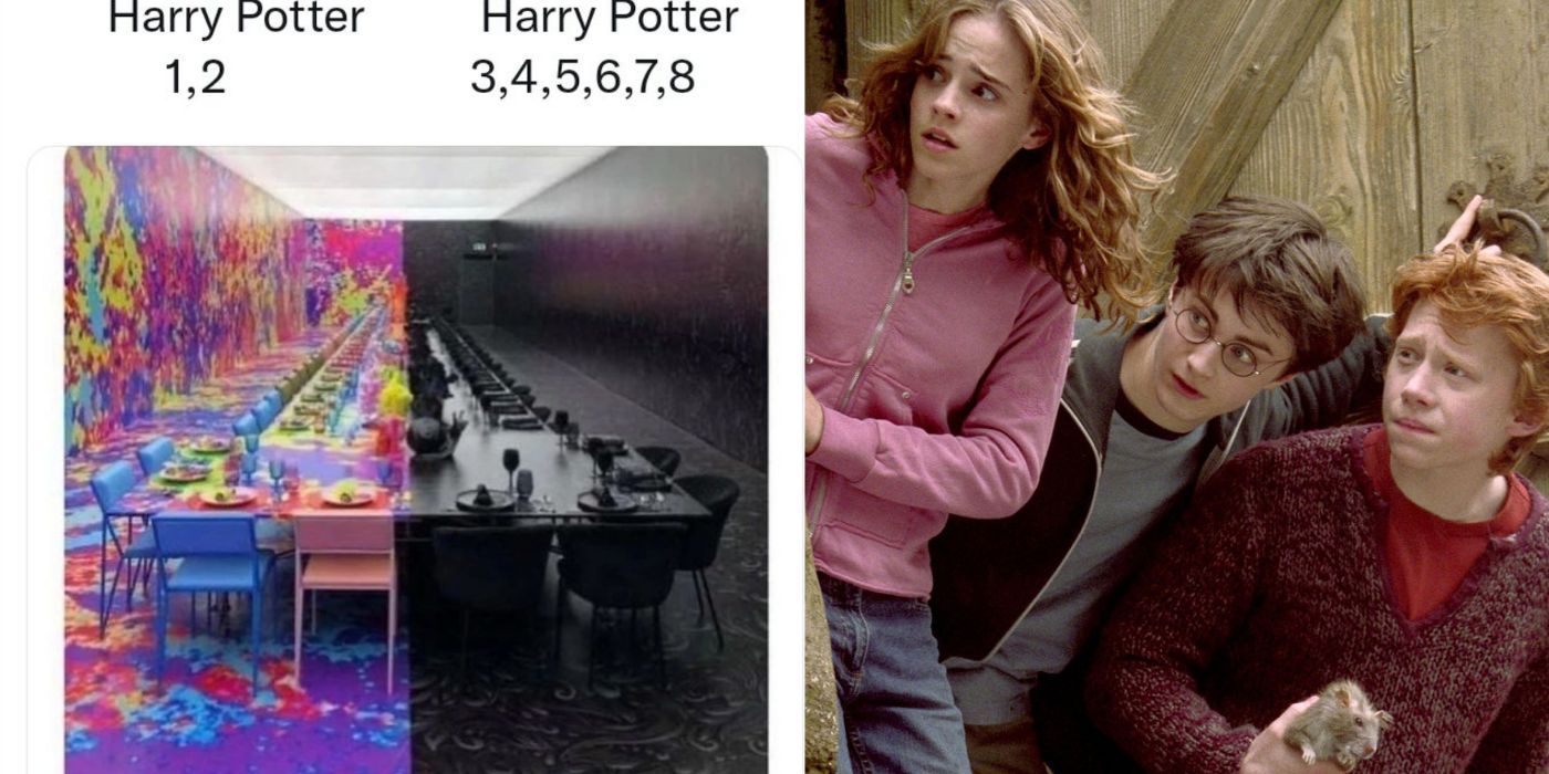 8 Hermione Memes That Sum Up Her Role In Every Harry Potter Movie