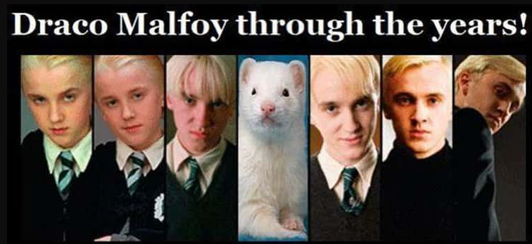 Harry Potter: 10 Memes That Sum Up Draco Malfoy As A Character