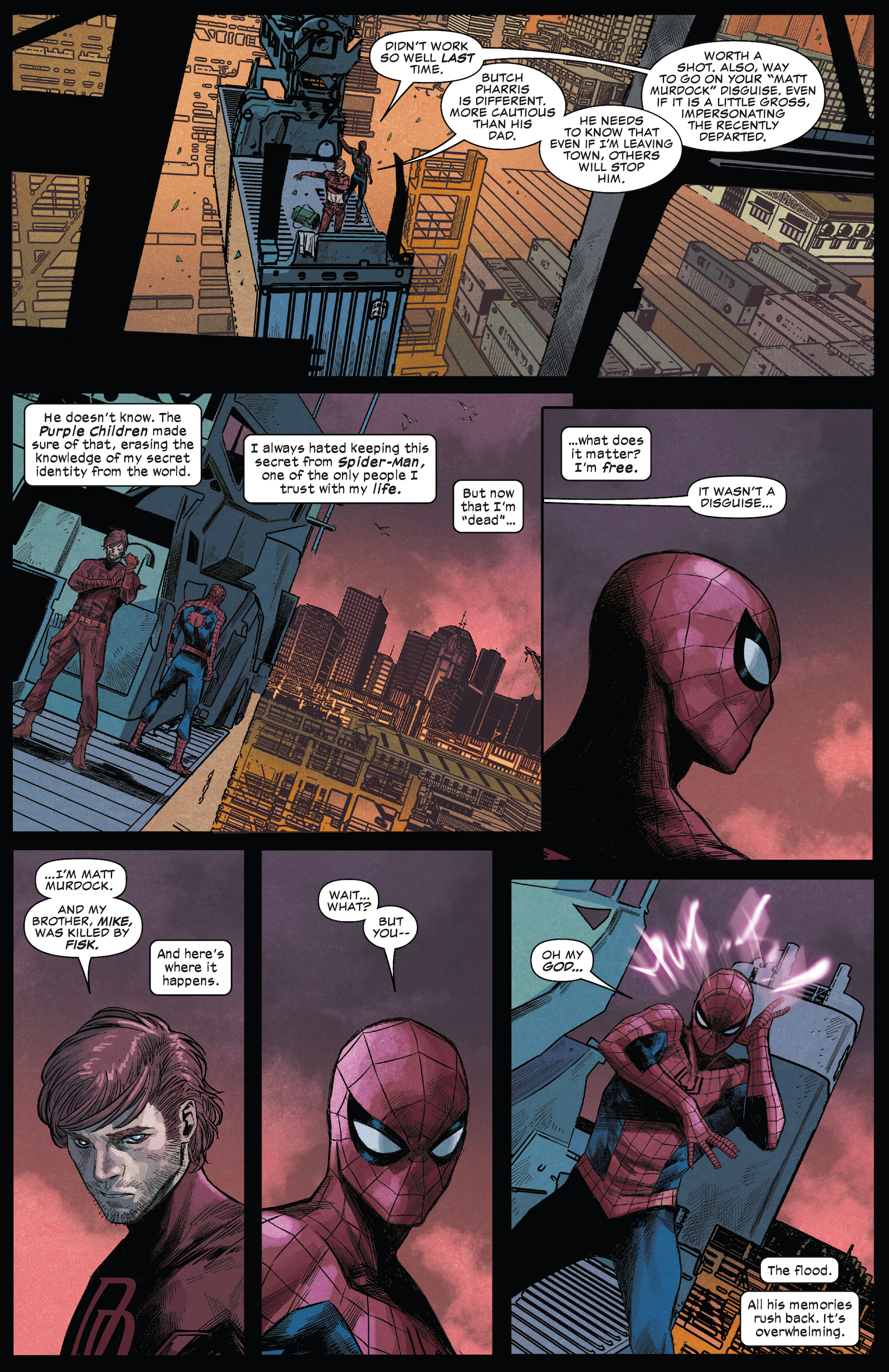 Spider Man and Daredevils secret identities
