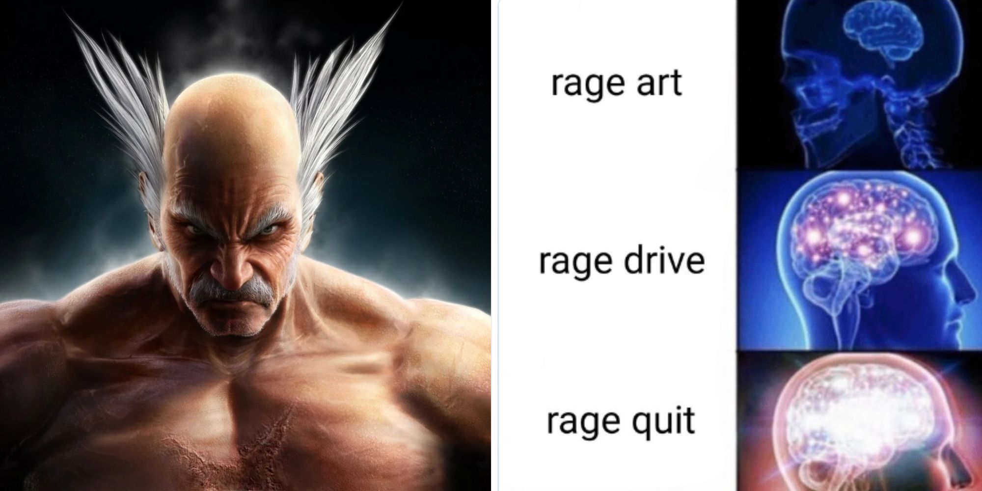 Split images of Heihachi Mishima in Tekken 6 and a Tekken meme