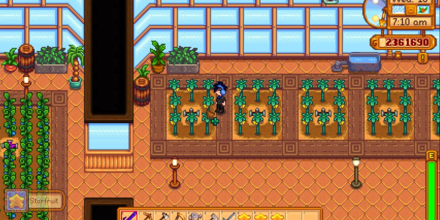 Uma colheita de Starfruit em Stardew Valley.