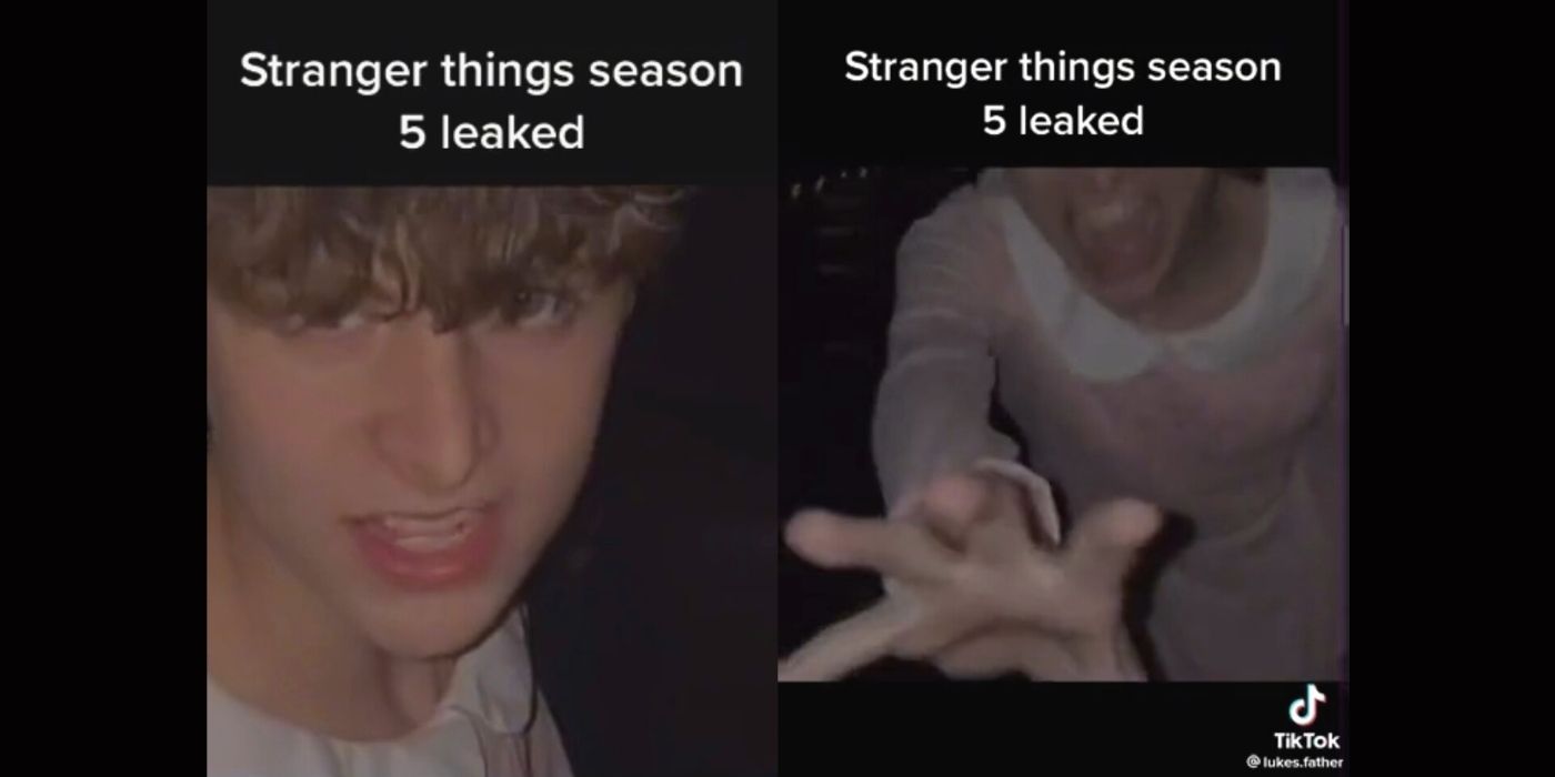 Stranger Things season 5 leaked