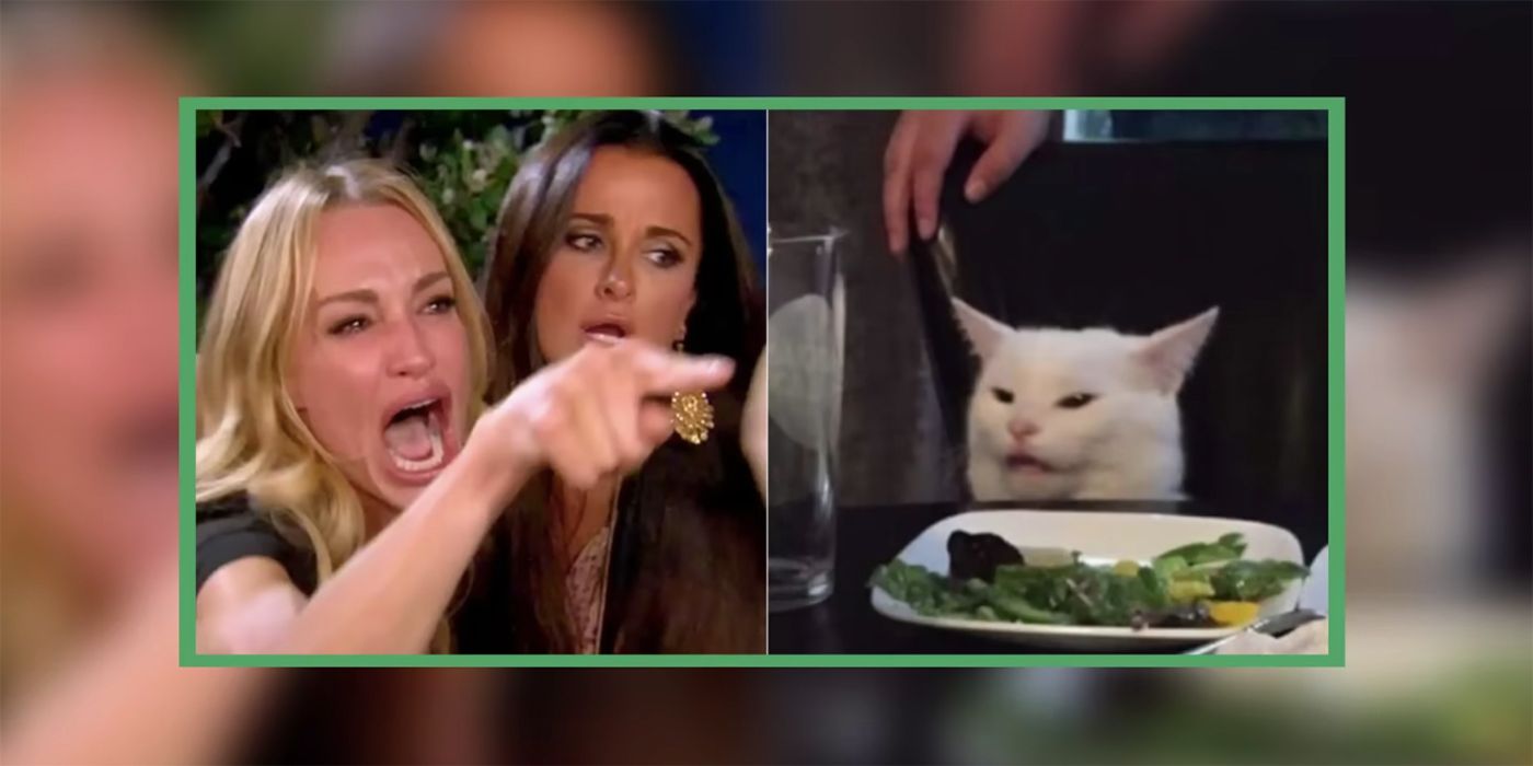 Taylor Armstrong Cat Meme RHUGT