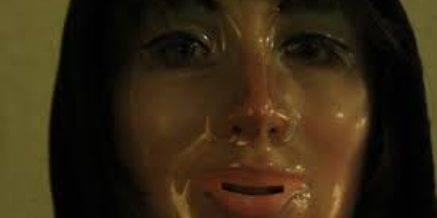 V/H/S