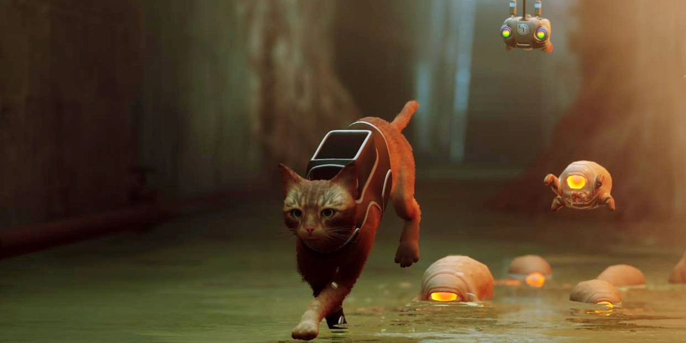 Stray 10 Things We Learned About The Game's Dystopian World