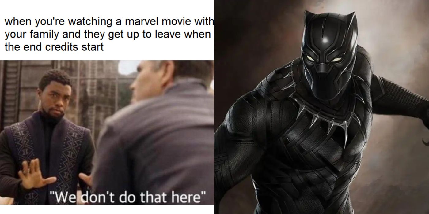 Black Panther: 10 Funniest 