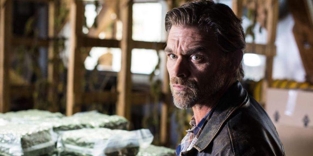 Remo stands before piles of weed in Bates Motel