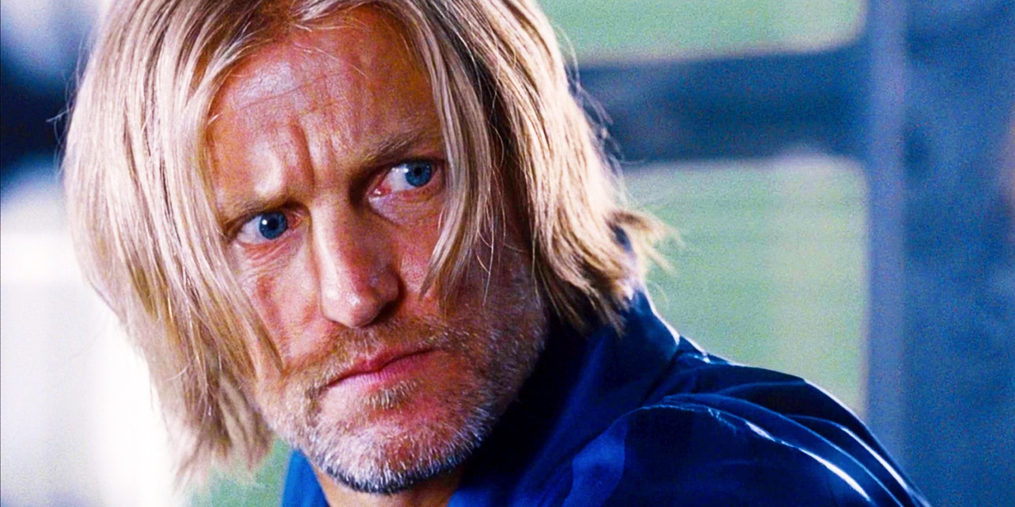 Woody Harrelson as Haymitch Abernathy Glaring in The Hunger Games Catching Fire