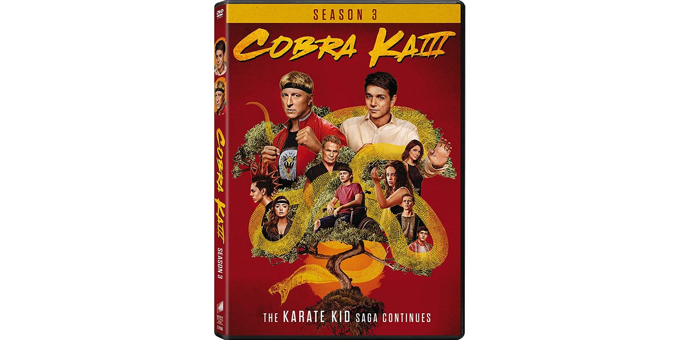 Cobra Kai season 3 on DVD.