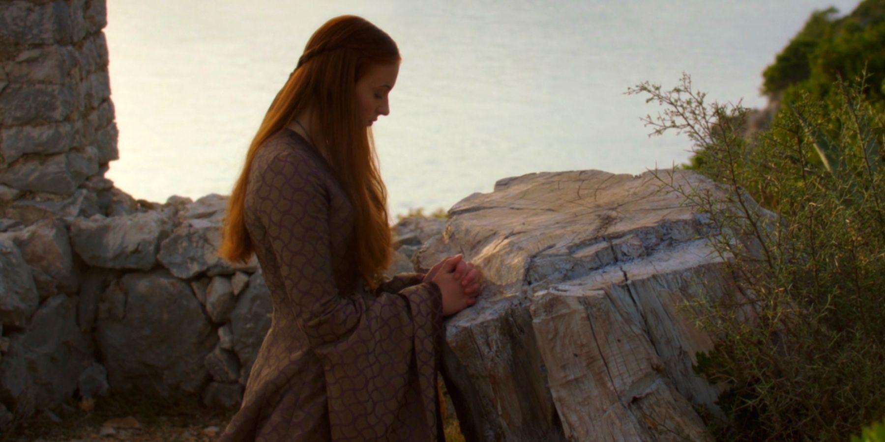 Sansa prays on a cut weir wood tree in Game of Thrones