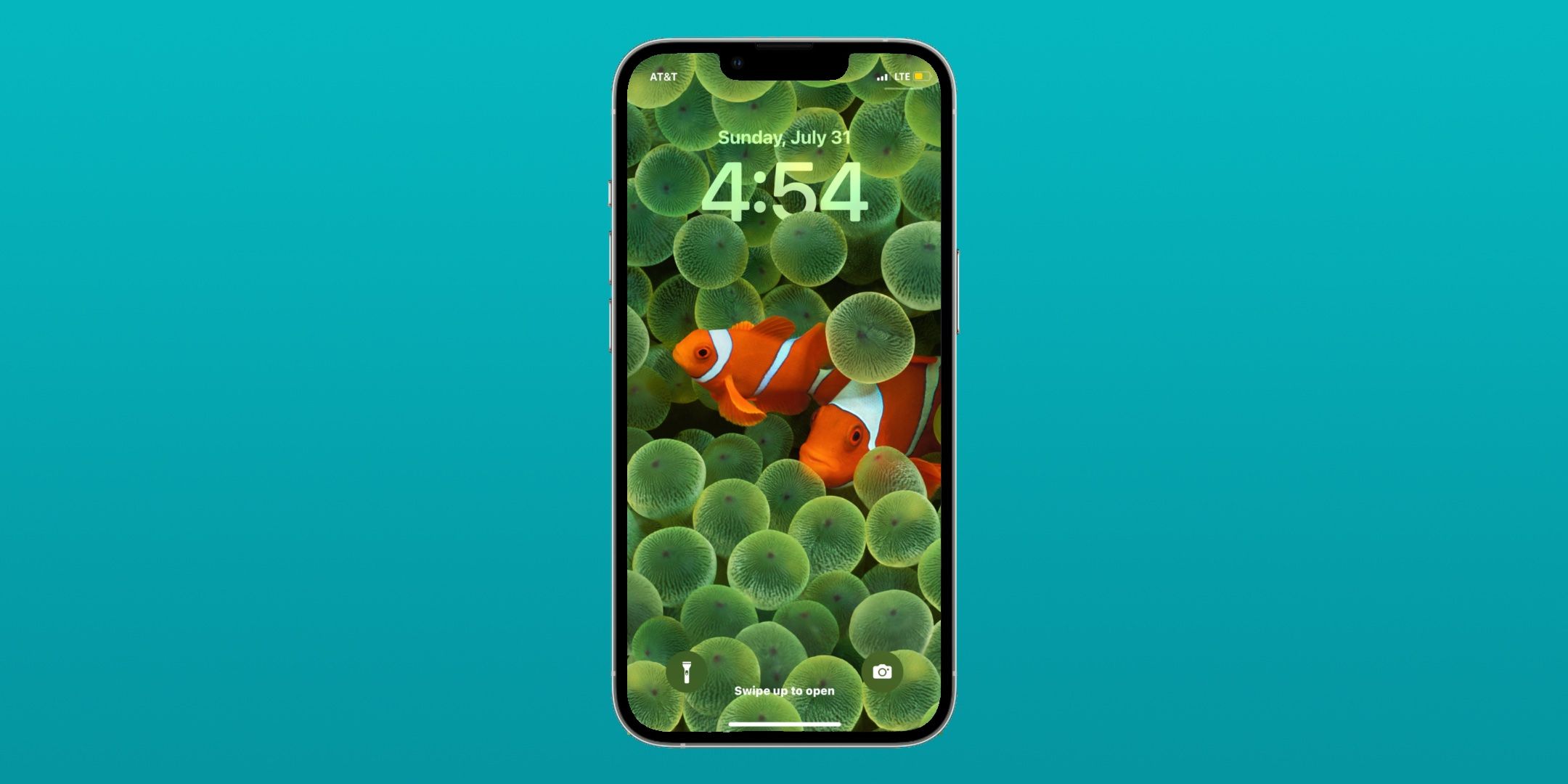 The iOS 16 Clownfish wallpaper for iPhone.