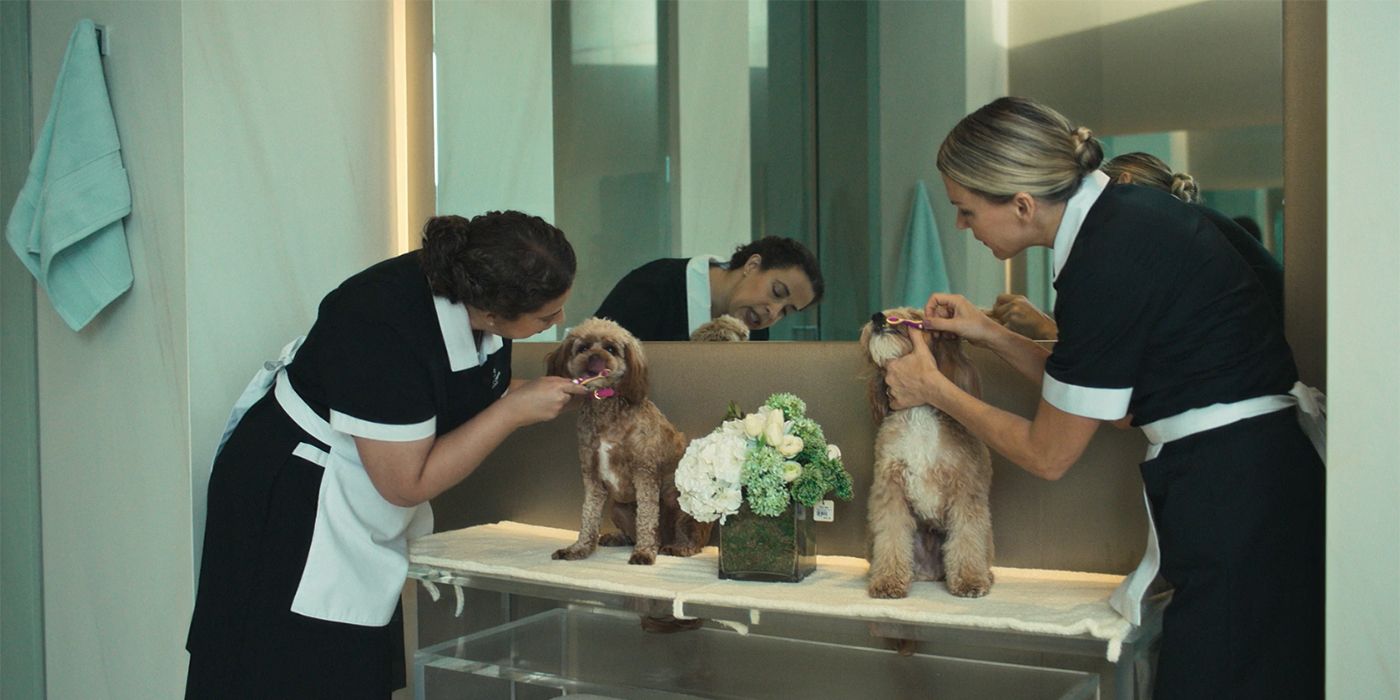 Two staff members brushing Molly's dogs in the bathroom of her home on Loot.