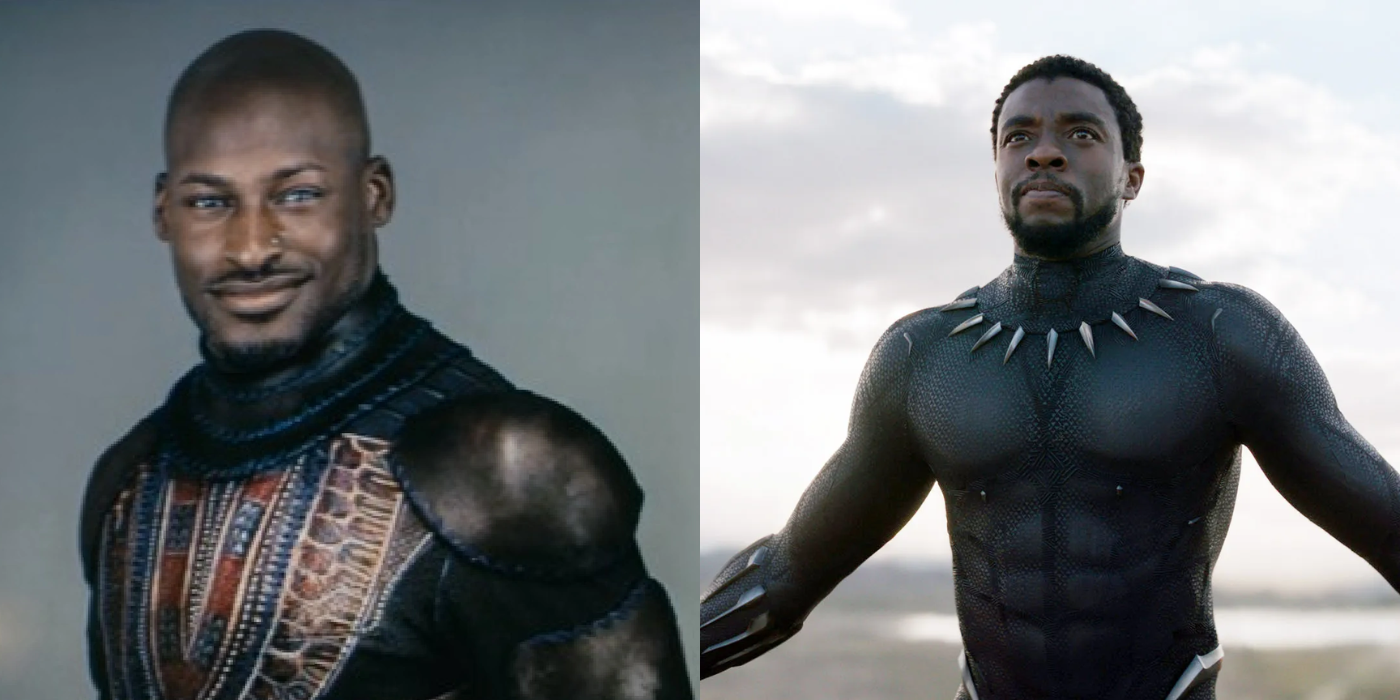 Black Panther vs Nubian Prince