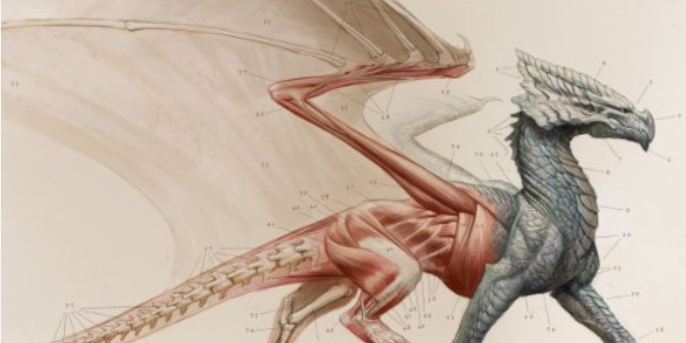 The 8 Best Dragon Books That Need Movie Adaptations