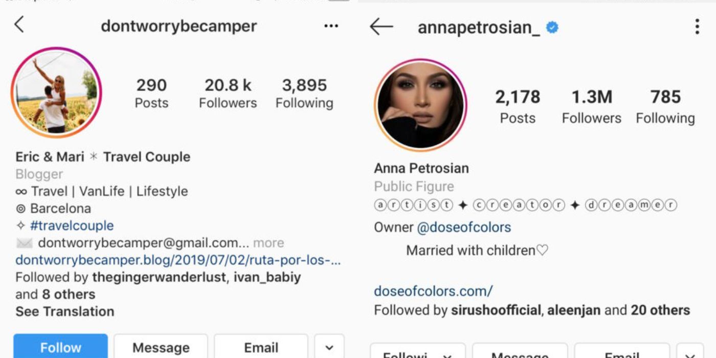 A screenshot of a side by side image of IG profiles and their bios