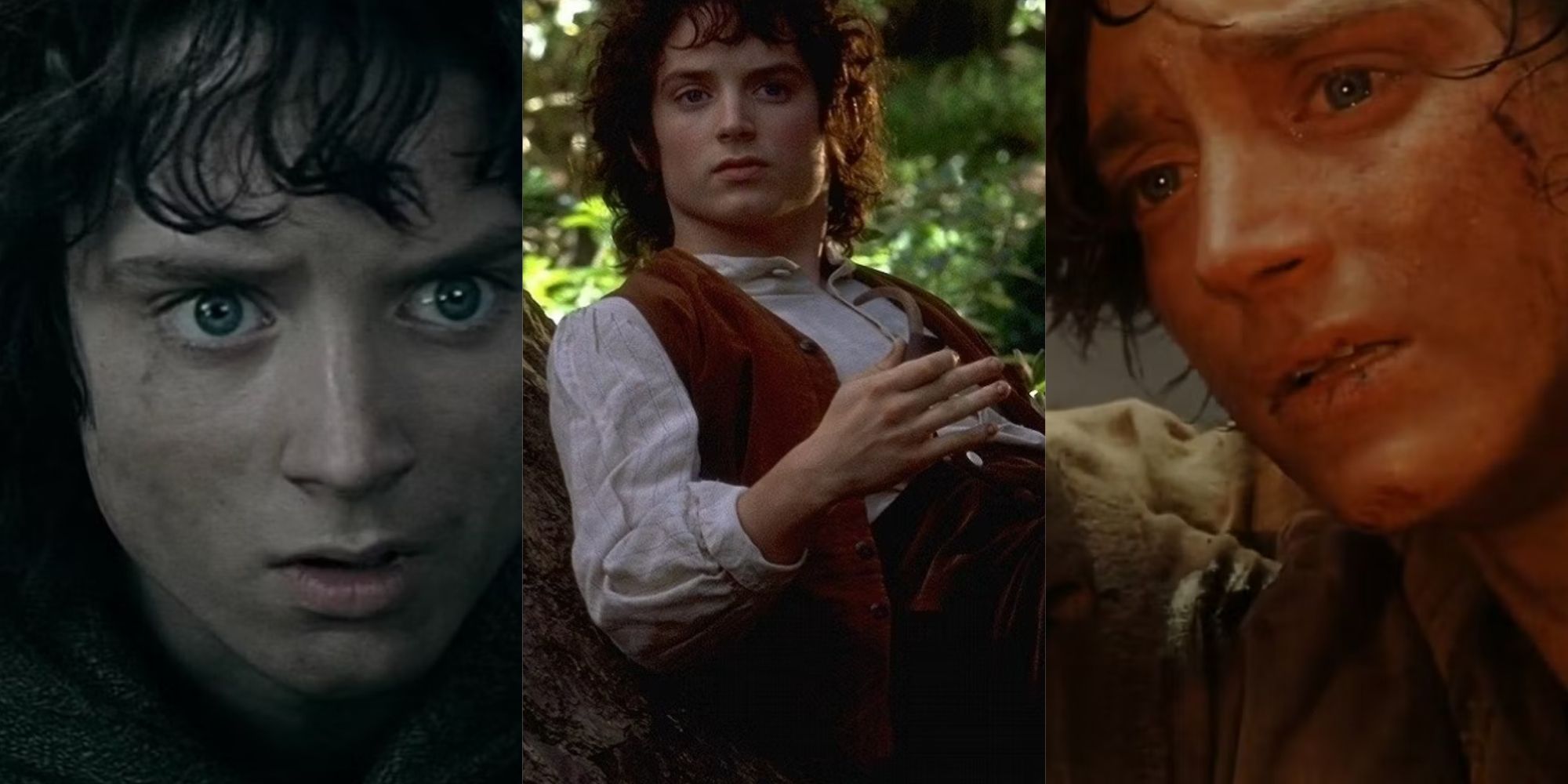 A-split-image-of-Frodo-from-the-Lord-of-the-Rings-movies-1