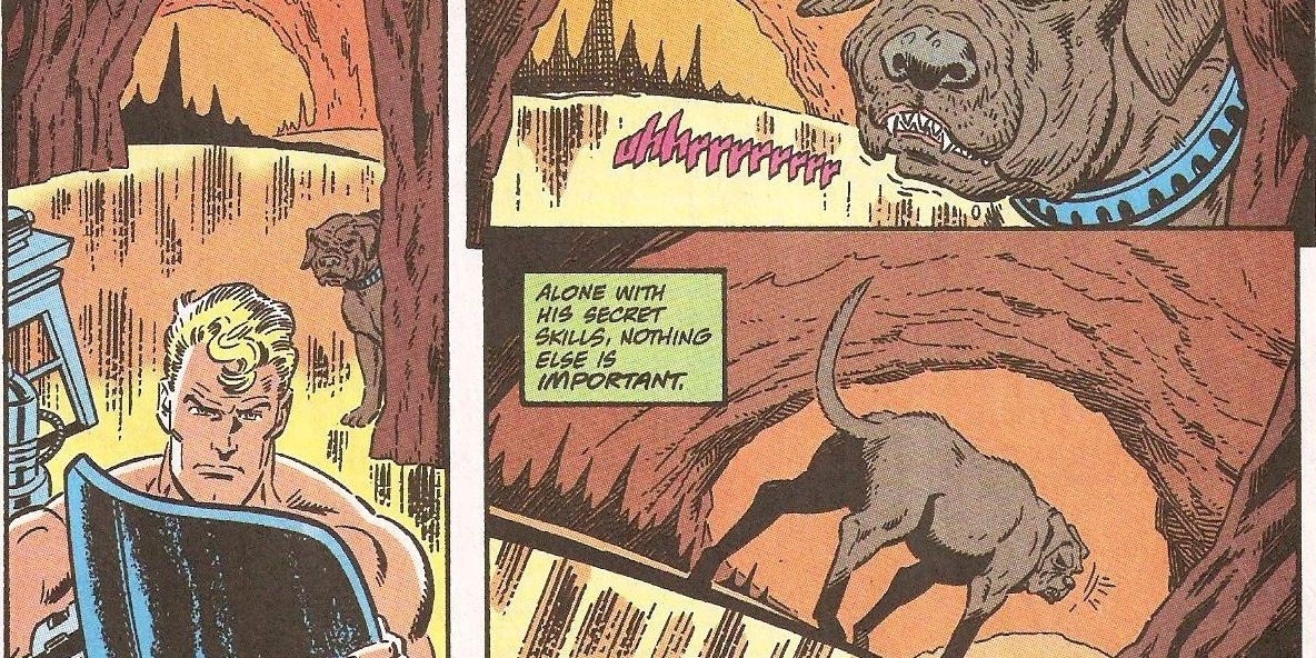 Ace decides to become a stray in Batman #500