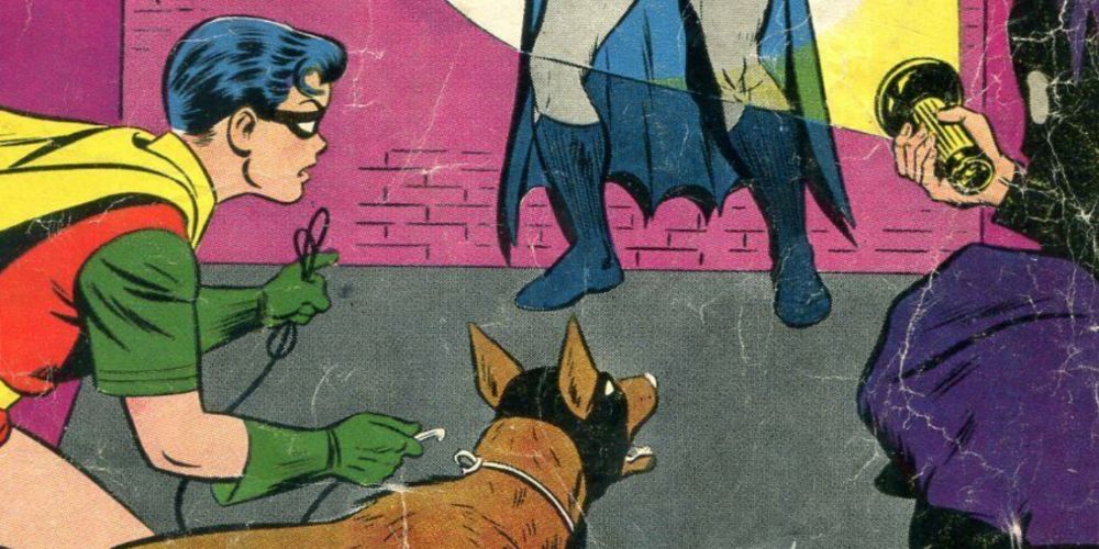 Robin and Ace the Bat-Hound locate Batman in DC comics