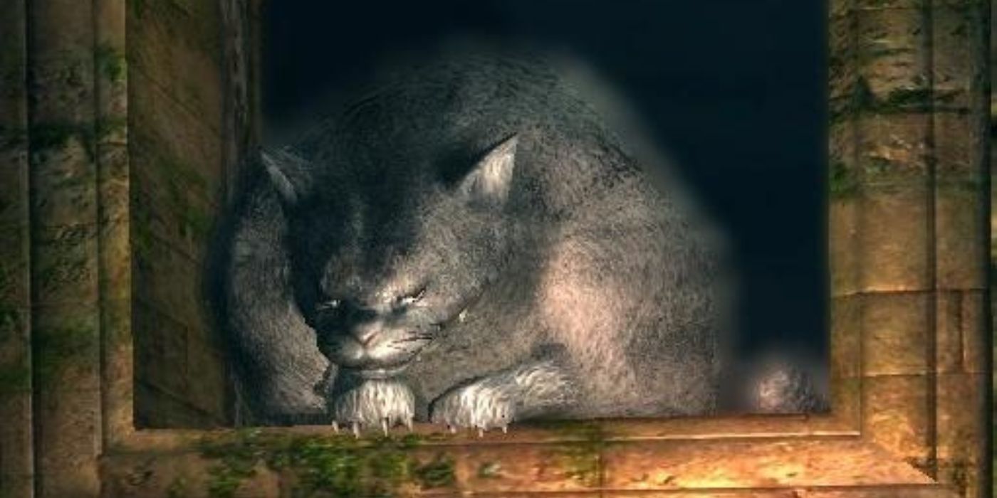 Alvina the Cat looking mischievous in Dark Souls.